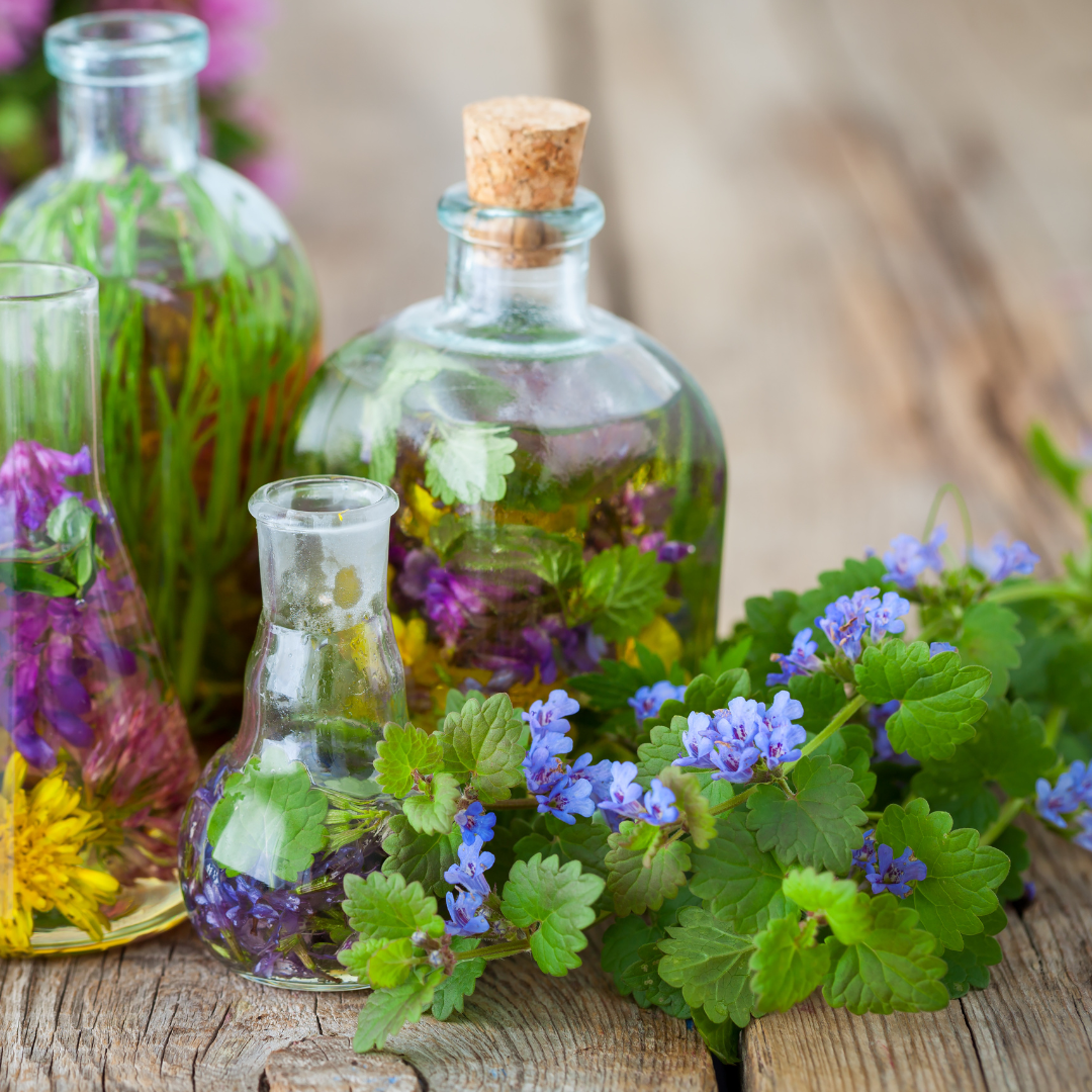 TEM-kompakt 2026 – Bad Kreuzen